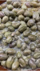 aceituna rajada